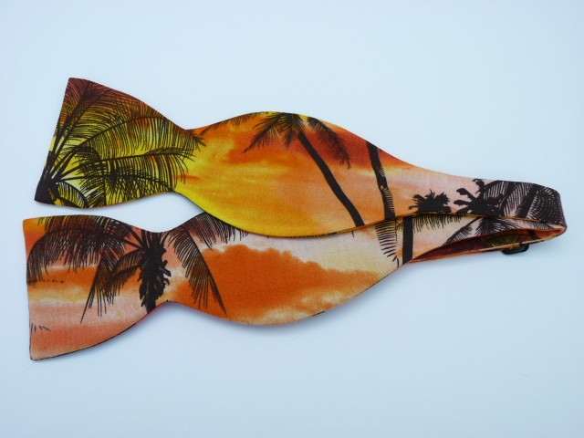 4_0_1040_4116Hawaiian_sunset_st.jpg