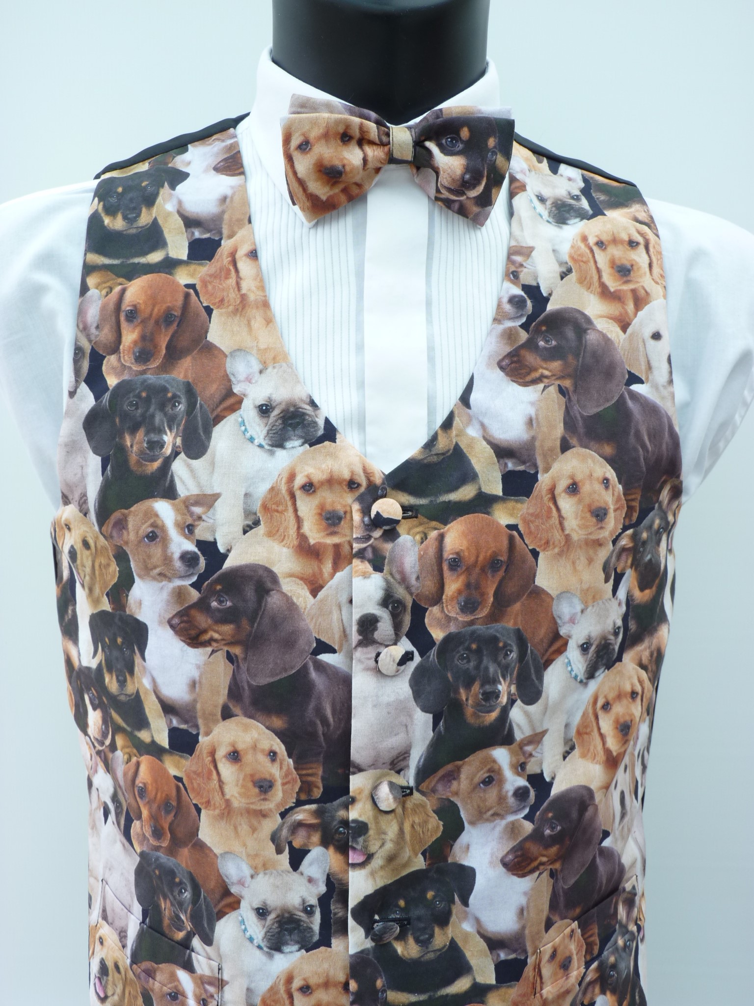 4_0_1128_9130puppy_love.jpg