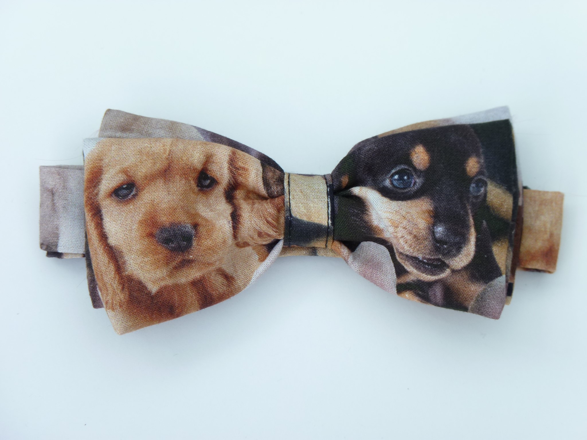 4_0_1134_4457puppy_love_bt.jpg