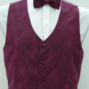Plum Sparkle Waistcoat