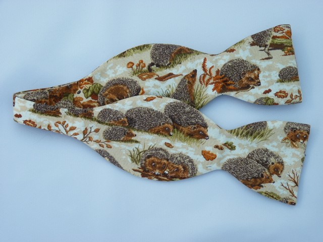 hedgehog bow tie