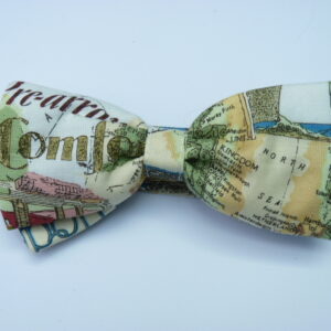 Orient Express Pre Tied Bow Tie