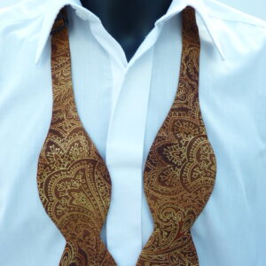 Radiant Paisley (2) Self Tie Bow Tie