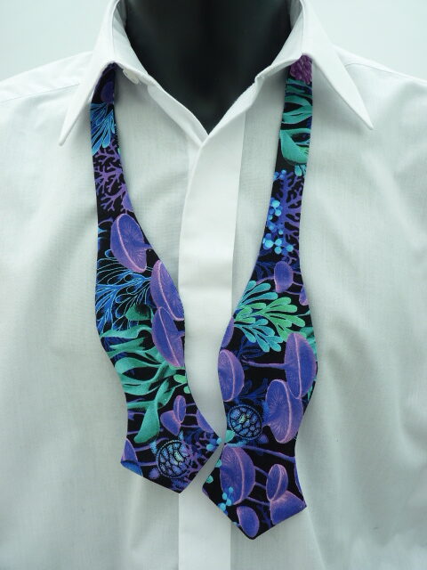 Coral Reef DT